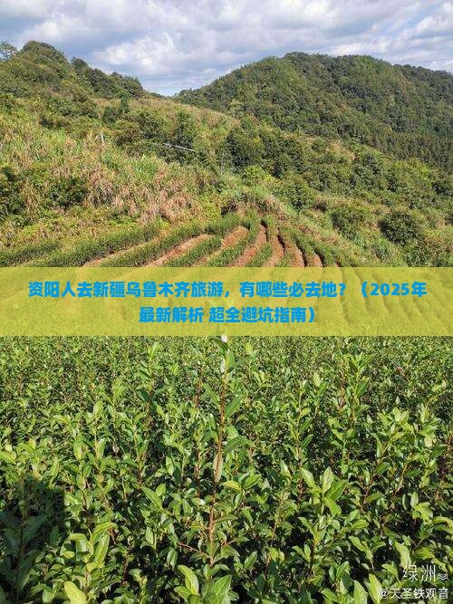 资阳去新疆乌鲁木齐必去地