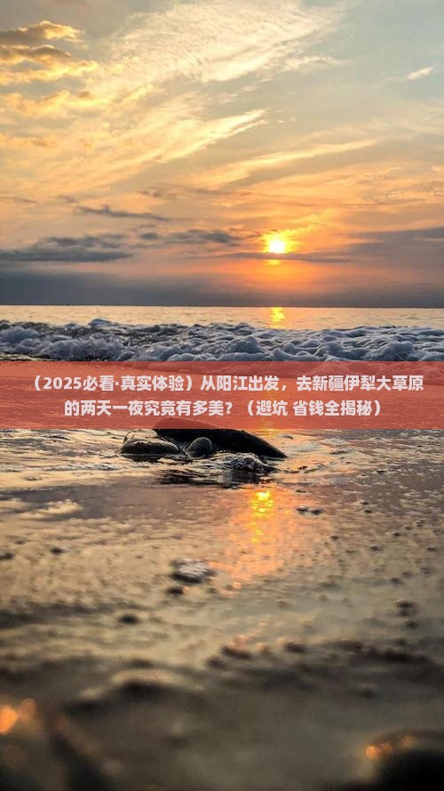 阳江到新疆伊犁大草原二日游