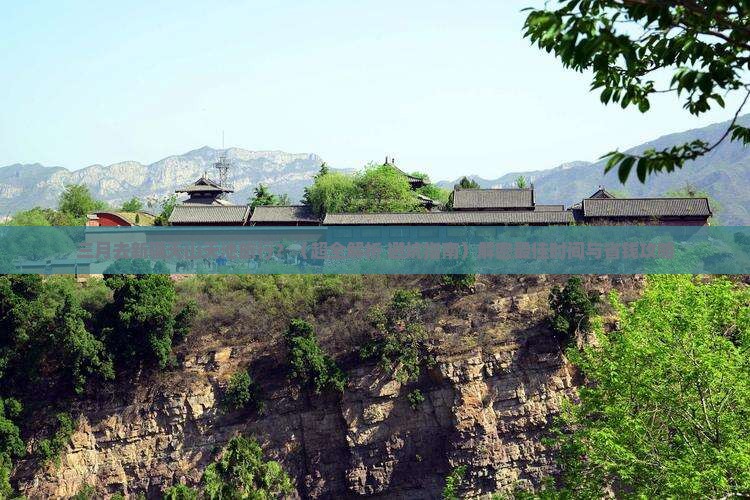 三月到新疆天山天池旅行社