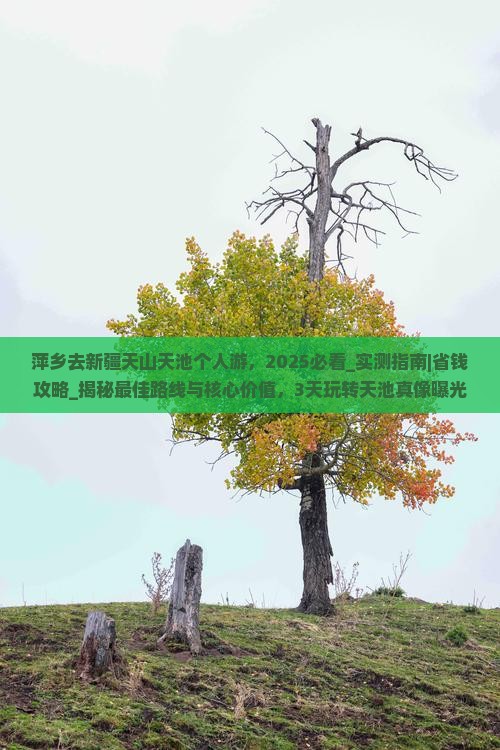 萍乡去新疆天山天池个人游