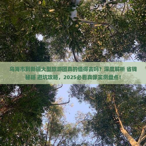 乌海市到新疆大型旅游团