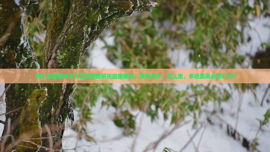 铜仁去新疆禾木大型旅游团
