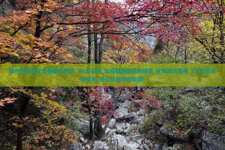 锦州到新疆吐鲁番团体旅游