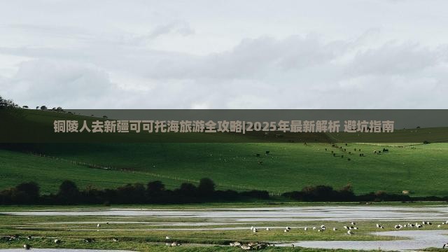 铜陵到新疆可可托海哪里玩 铜陵到新疆可可托海哪里玩