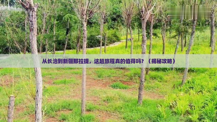 长治到新疆那拉提旅游