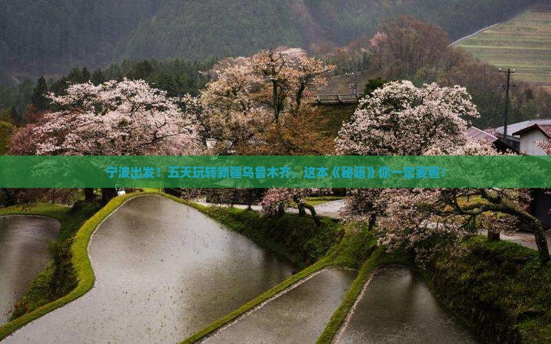 宁波到新疆乌鲁木齐五日游