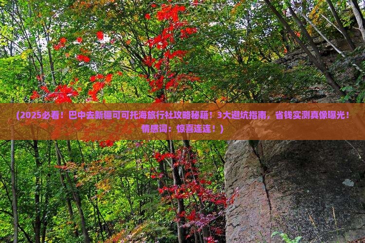 巴中去新疆可可托海旅行社