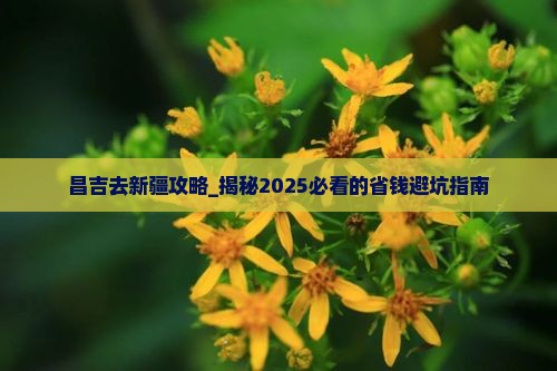 昌吉去新疆攻略