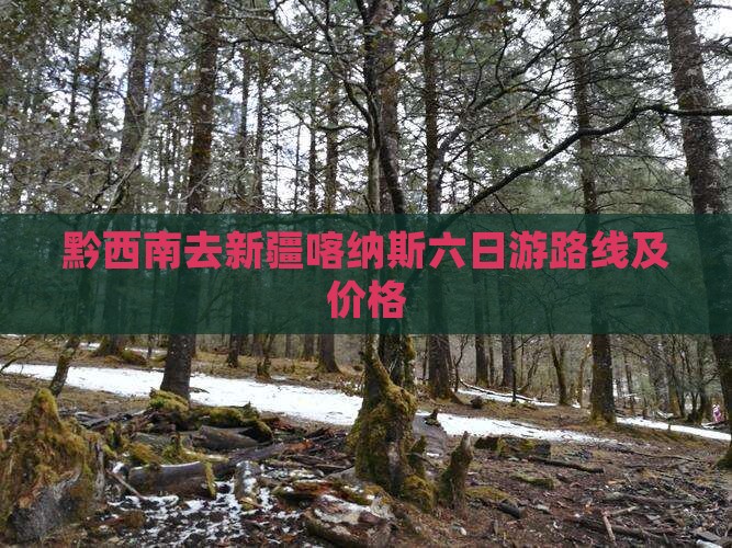 黔西南去新疆喀纳斯六日游