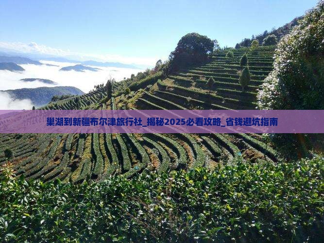 巢湖到新疆布尔津旅行社
