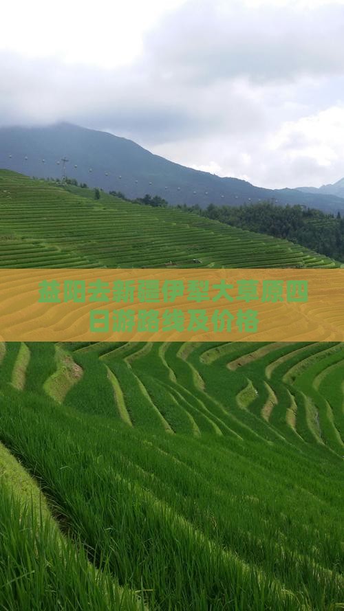 益阳去新疆伊犁大草原四日游