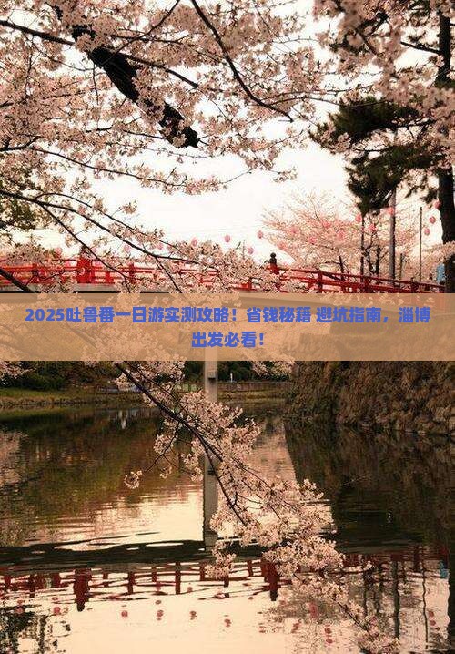 淄博到新疆吐鲁番一日