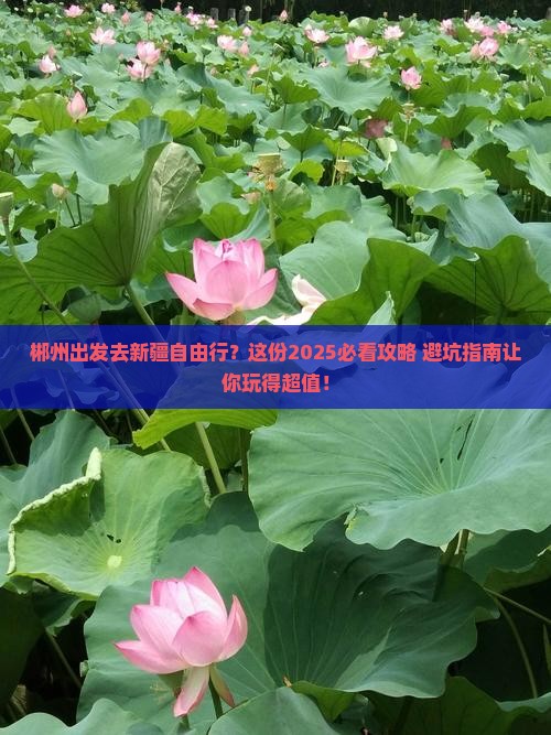 郴州到新疆自由行