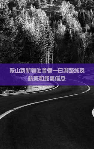 鞍山到新疆吐鲁番一日