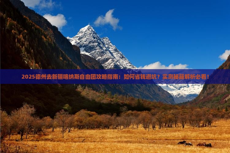 德州去新疆喀纳斯自由团