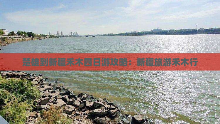 楚雄到新疆禾木四日游