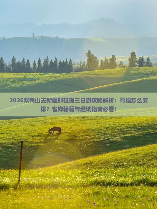 双鸭山去新疆那拉提三日游