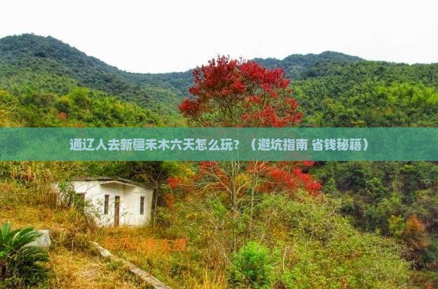 通辽去新疆禾木六日游