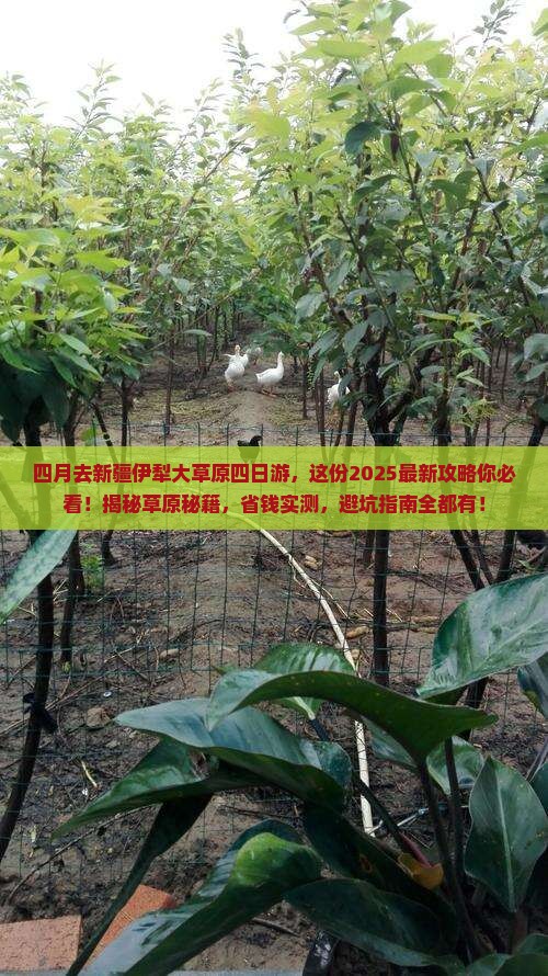 四月到新疆伊犁大草原四日游