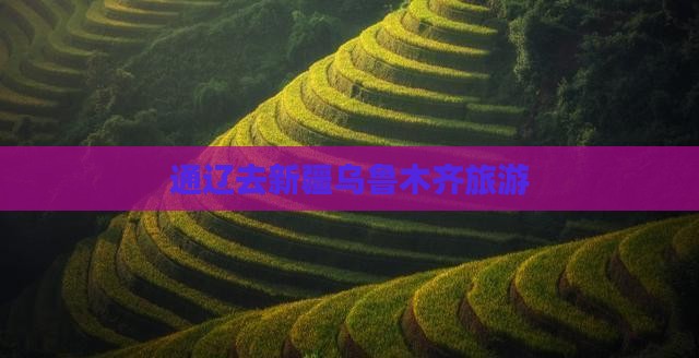 通辽去新疆乌鲁木齐旅游