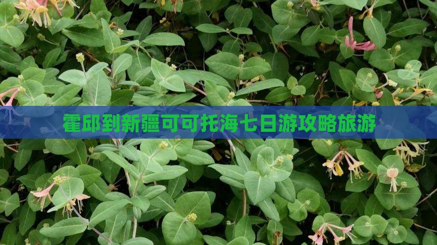 霍邱到新疆可可托海七日游