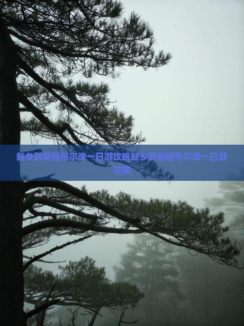 新乡到新疆布尔津一日