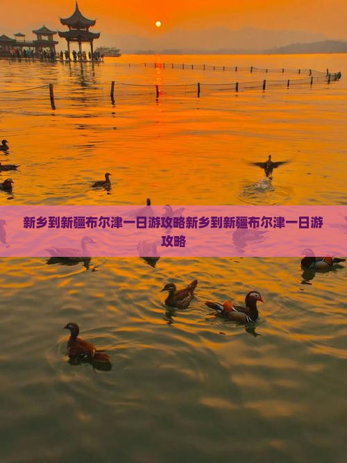 新乡到新疆布尔津一日