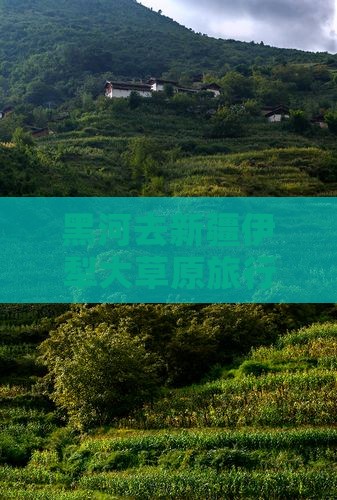 黑河去新疆伊犁大草原旅行社