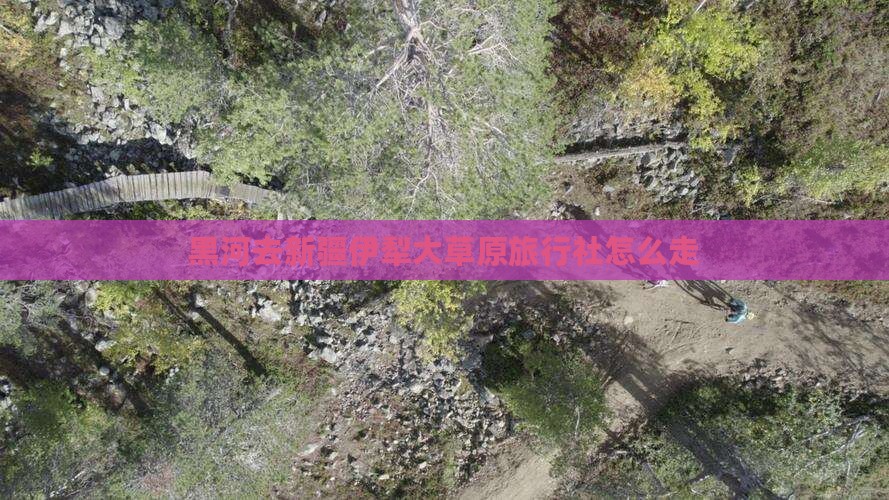 黑河去新疆伊犁大草原旅行社