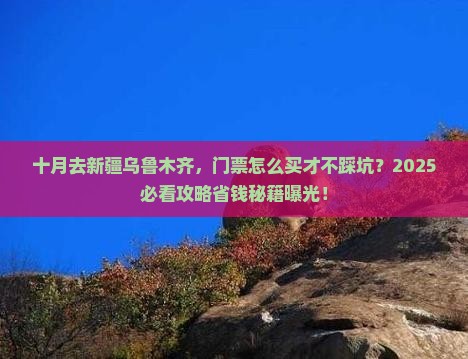 十月去新疆乌鲁木齐门票