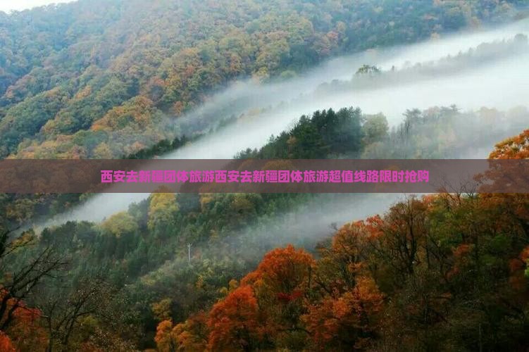 西安去新疆团体旅游