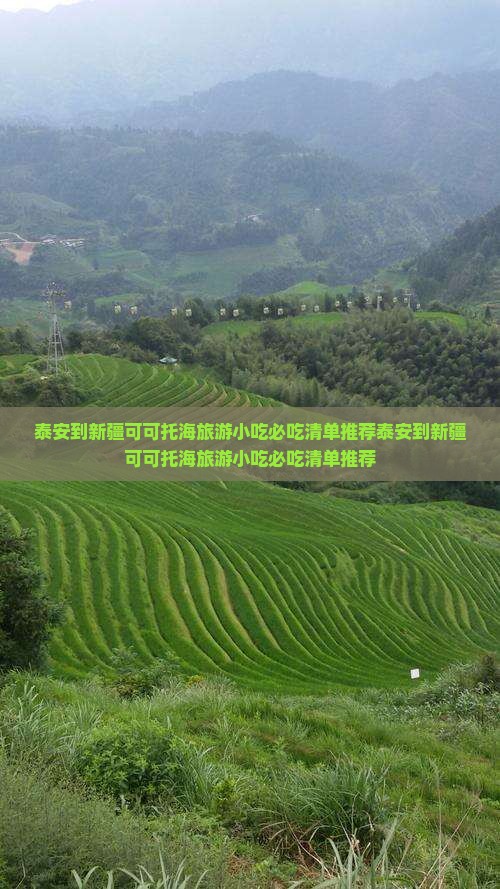泰安到新疆可可托海旅游小吃