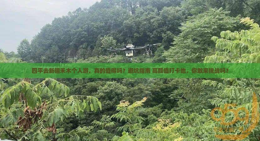 四平去新疆禾木个人游
