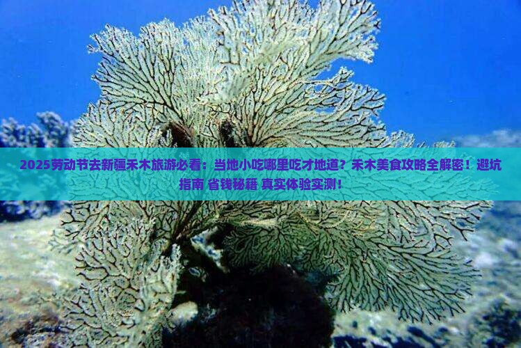 劳动节去新疆禾木旅游小吃