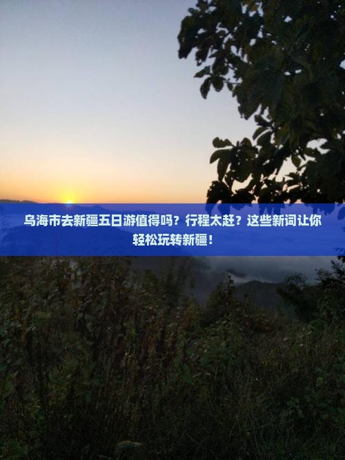乌海市去新疆五日游