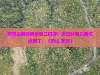 阿里去新疆喀纳斯三日游