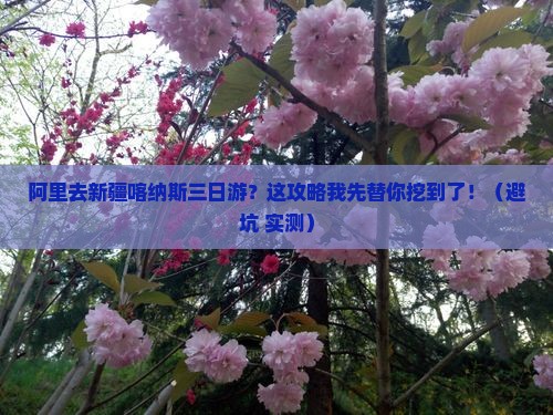 阿里去新疆喀纳斯三日游