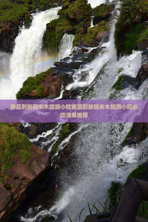 南昌到新疆禾木旅游小吃