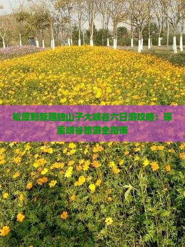 松原到新疆独山子大峡谷六日游