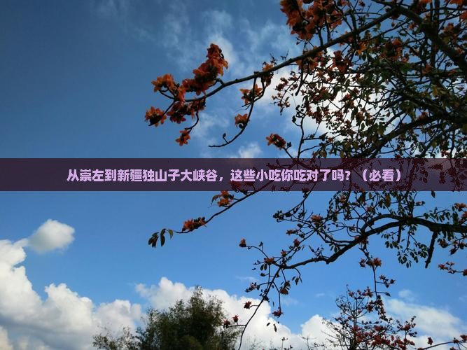 崇左到新疆独山子大峡谷旅游小吃 崇左到新疆独山子大峡谷旅游小吃