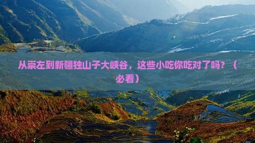 崇左到新疆独山子大峡谷旅游小吃 崇左到新疆独山子大峡谷旅游小吃