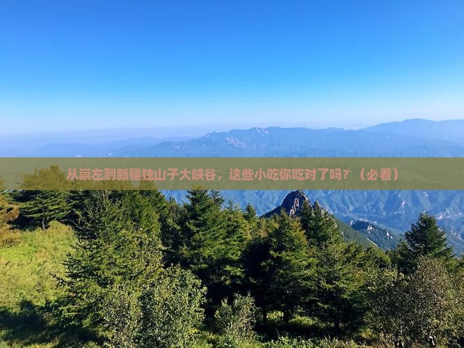 崇左到新疆独山子大峡谷旅游小吃 崇左到新疆独山子大峡谷旅游小吃