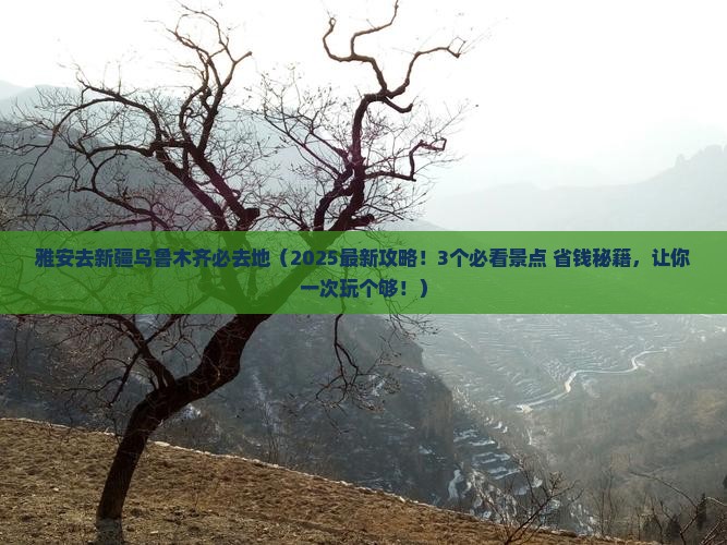 雅安去新疆乌鲁木齐必去地