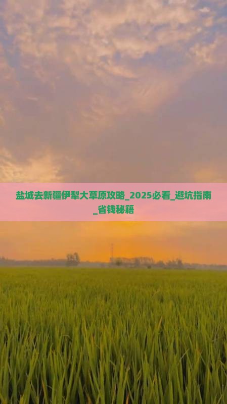 盐城去新疆伊犁大草原攻略