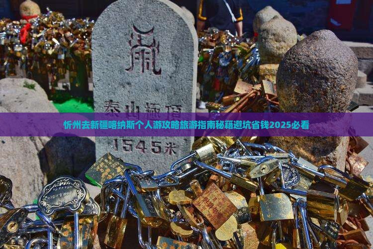 忻州去新疆喀纳斯个人游