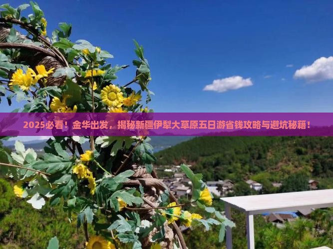 金华去新疆伊犁大草原五日游
