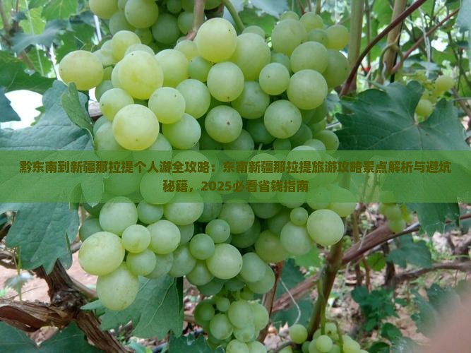 黔东南到新疆那拉提个人游