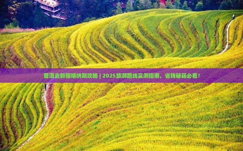 普洱去新疆喀纳斯攻略