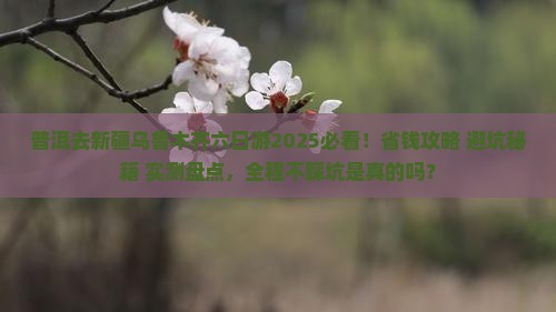 普洱去新疆乌鲁木齐六日游