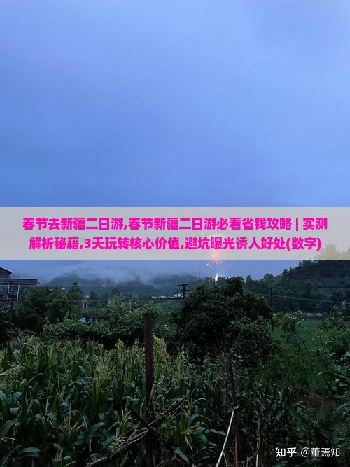 春节去新疆二日游